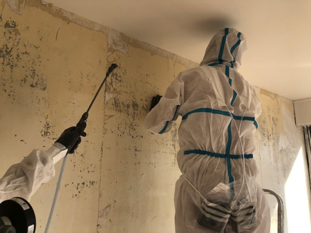 Désamiantage intérieur — traitement mural