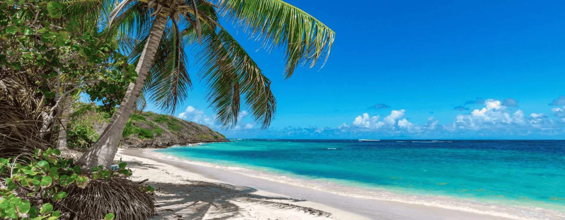 Clients SSK'Arukera — artisans et professionnels du bâtiment en Guadeloupe